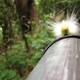 Illustration for article titled Shooting Challenge: Macro Gallery